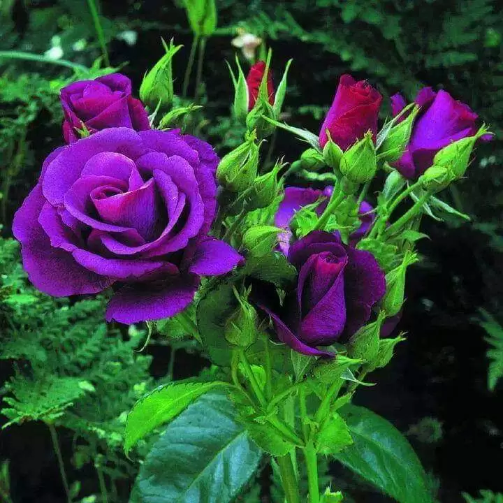 ĐIỀU ANH MANG ĐẾN