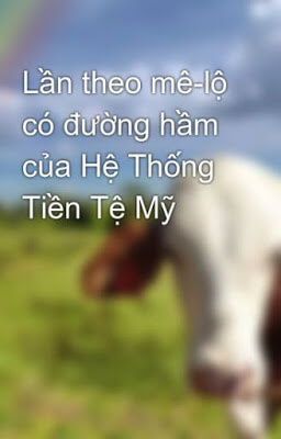 Lần Theo Mê-Lộ Có Đường Hầm Của Hệ Thống Tiền Tệ Hoa Kỳ