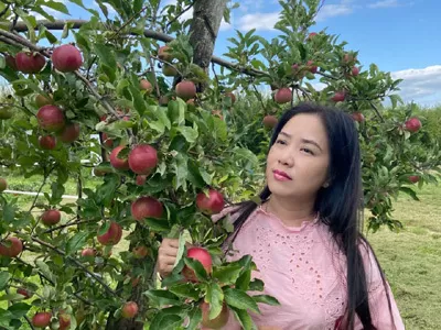 Nạn Gì Rồi Cũng Hóa Không