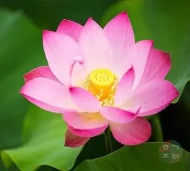 NGHĨ VỀ CHA