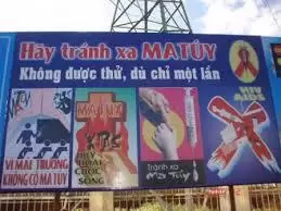 Vì Đâu?