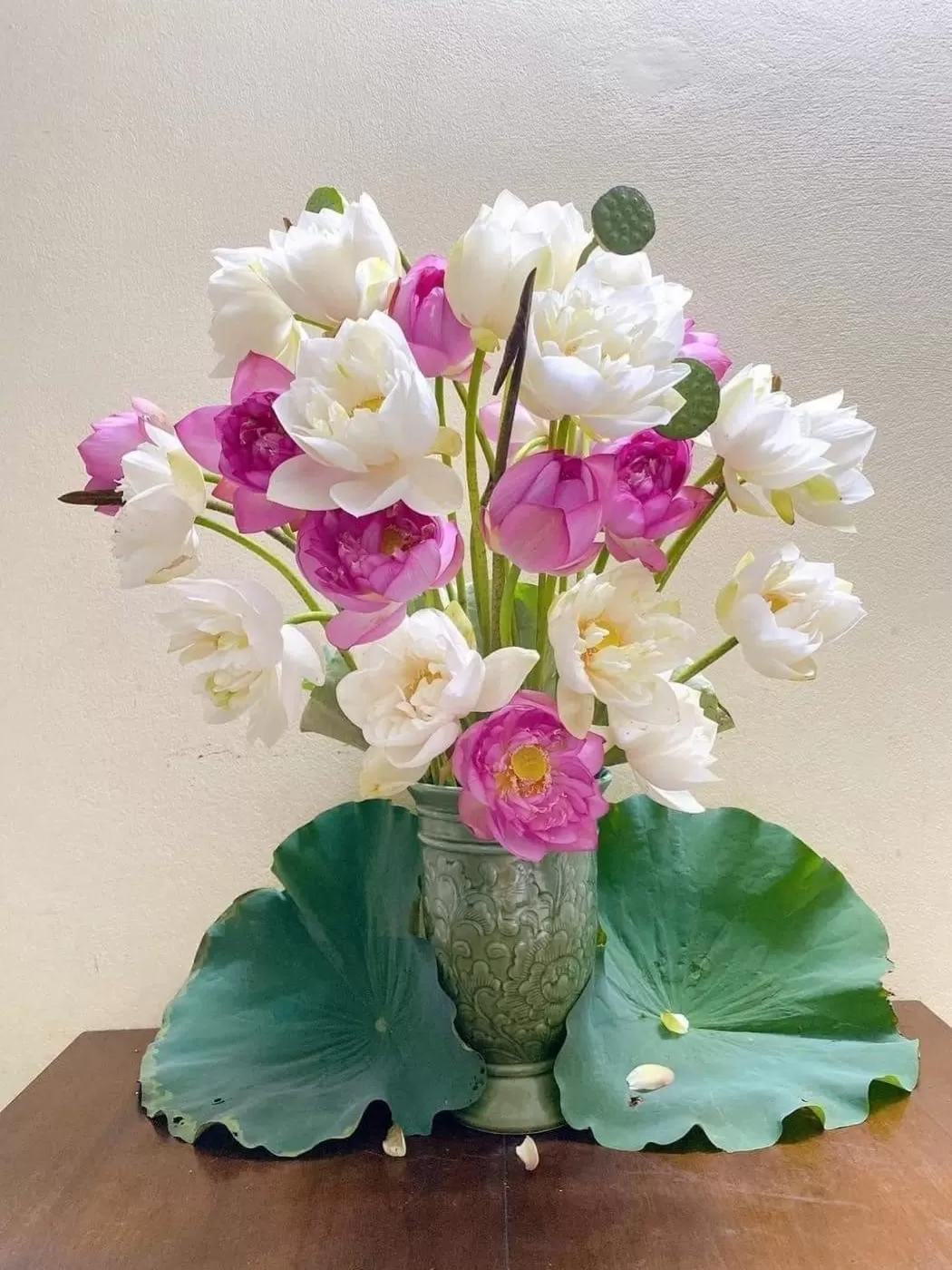 VỊ ĐỜI…